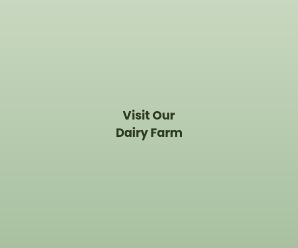 DairyFarm